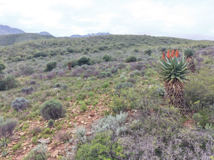 Commercial Property for Sale in Oudtshoorn Rural Western Cape